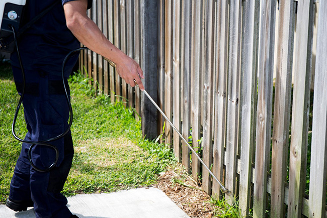 Pest Control Services Gold Coast Image 85